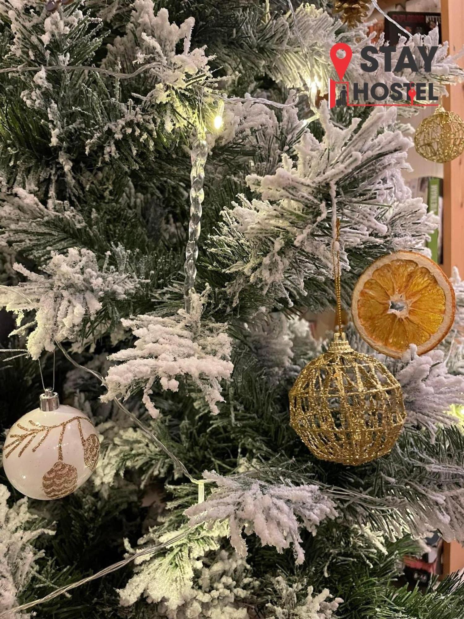 Stay Hostel - 300M From The Ferry ラックザー エクステリア 写真